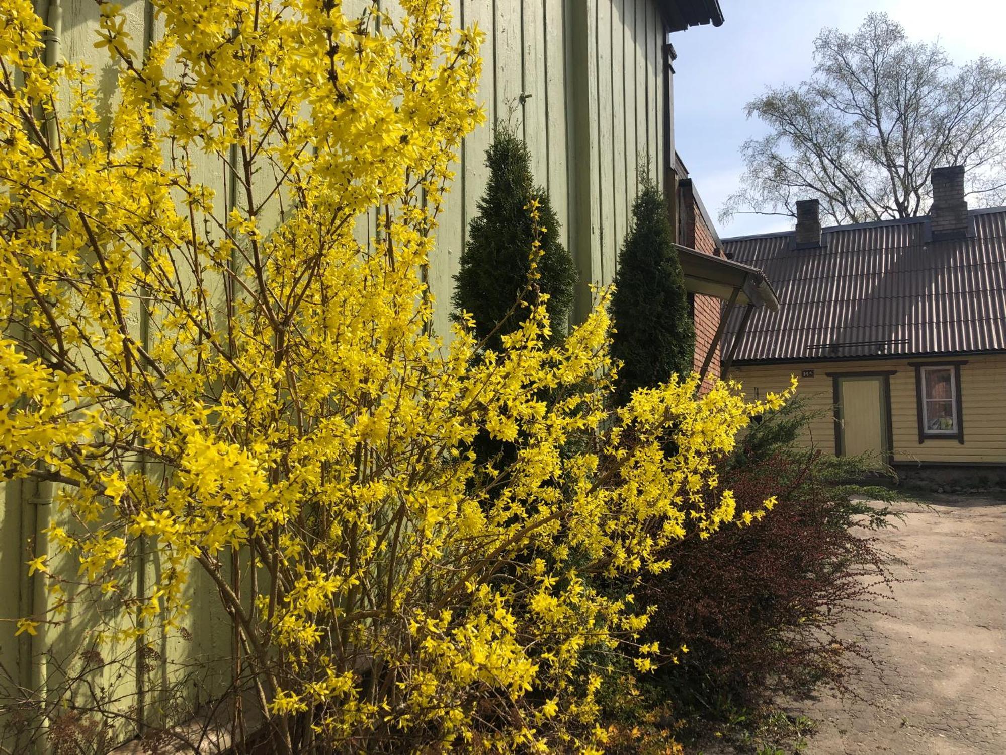 Harmonica Apartment Viljandi  Exterior photo